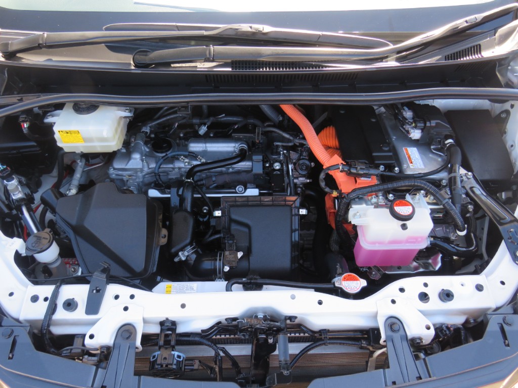 S8041820.jpg