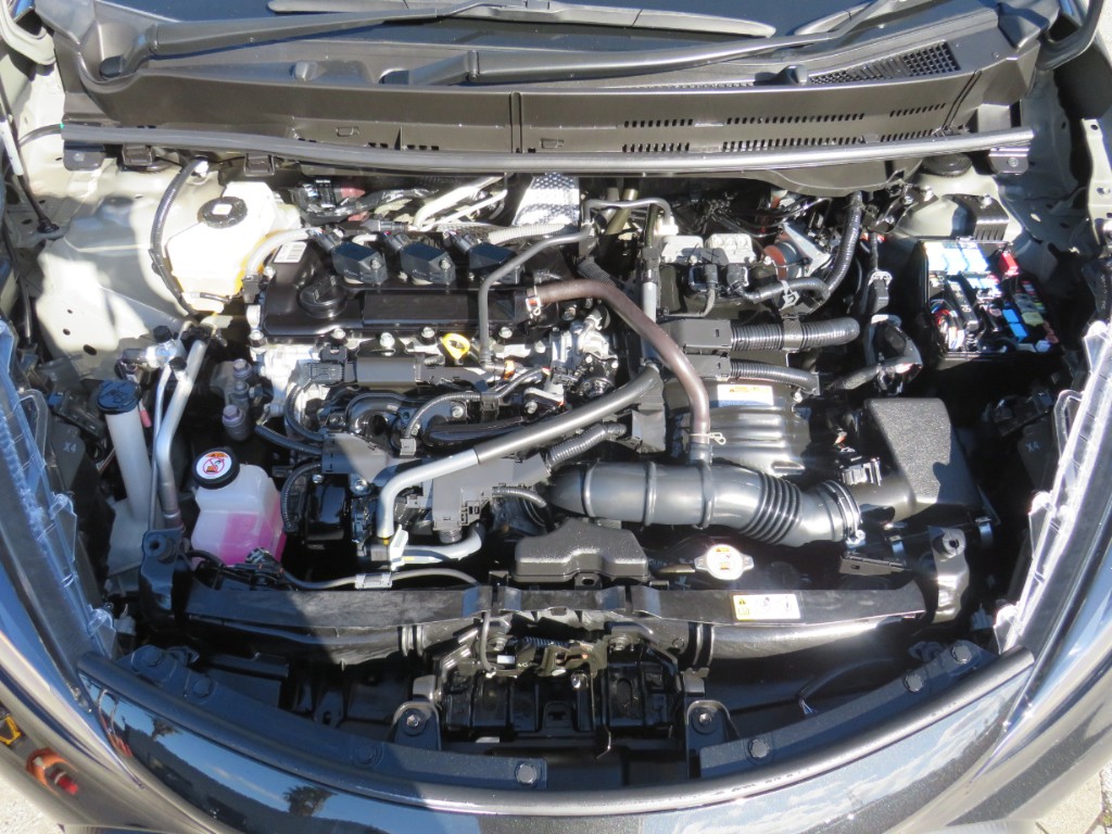S8043320.jpg