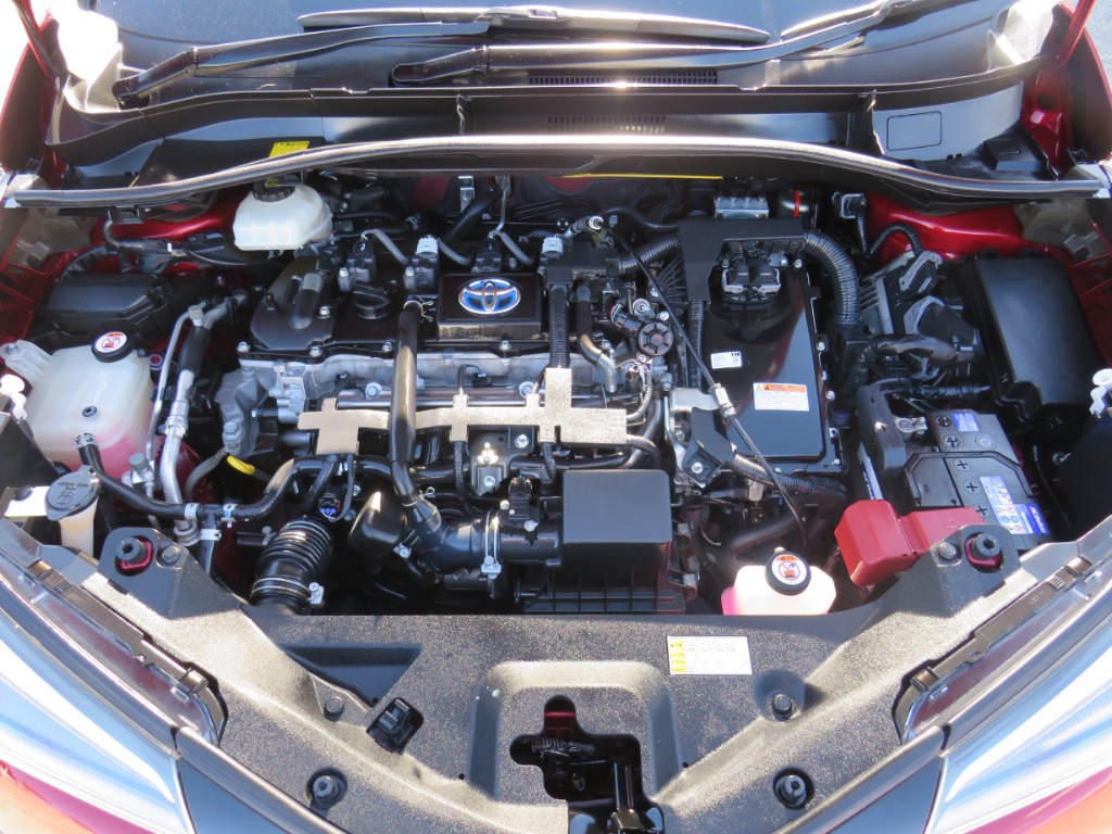 S8043720.jpg