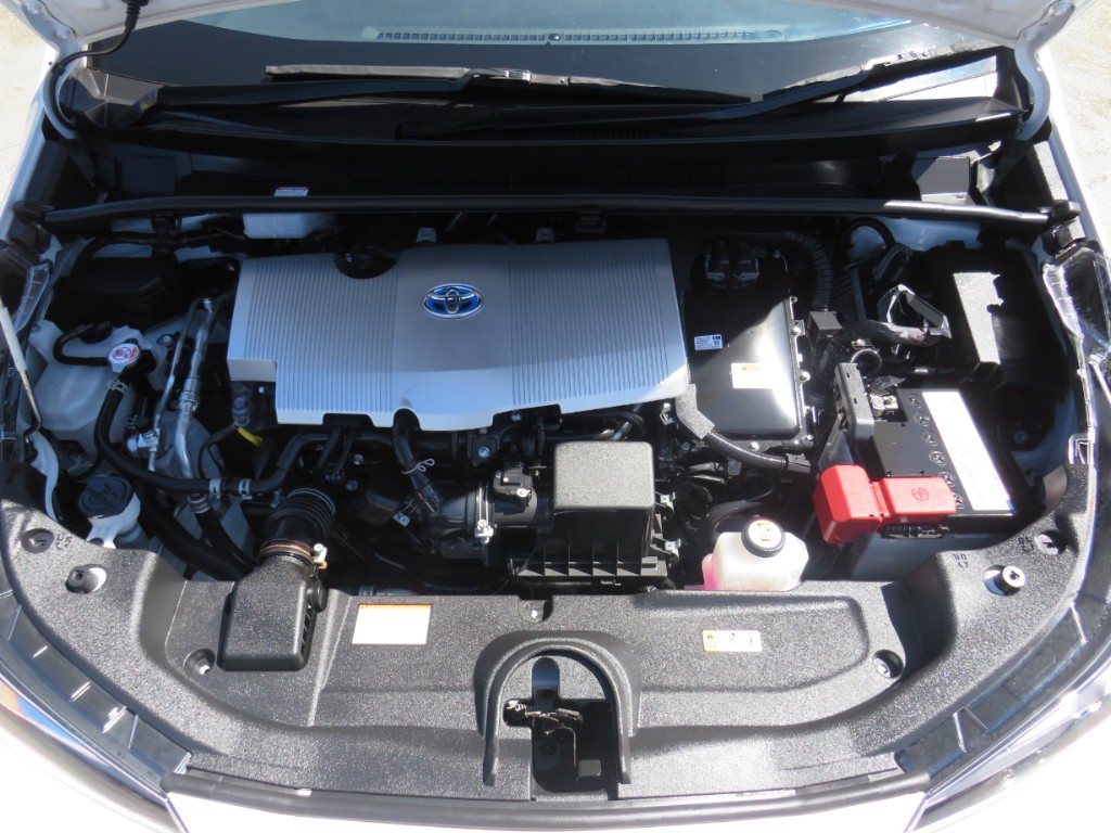 S8043920.jpg