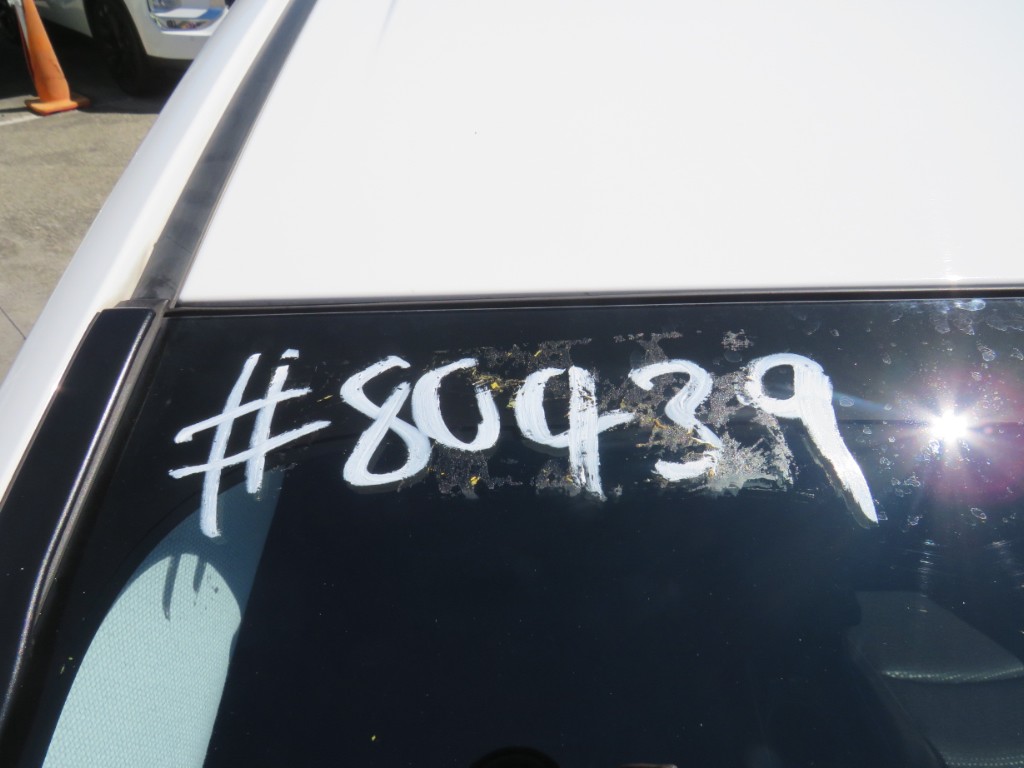 S8043921.jpg