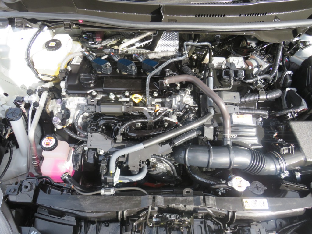 S8044819.jpg
