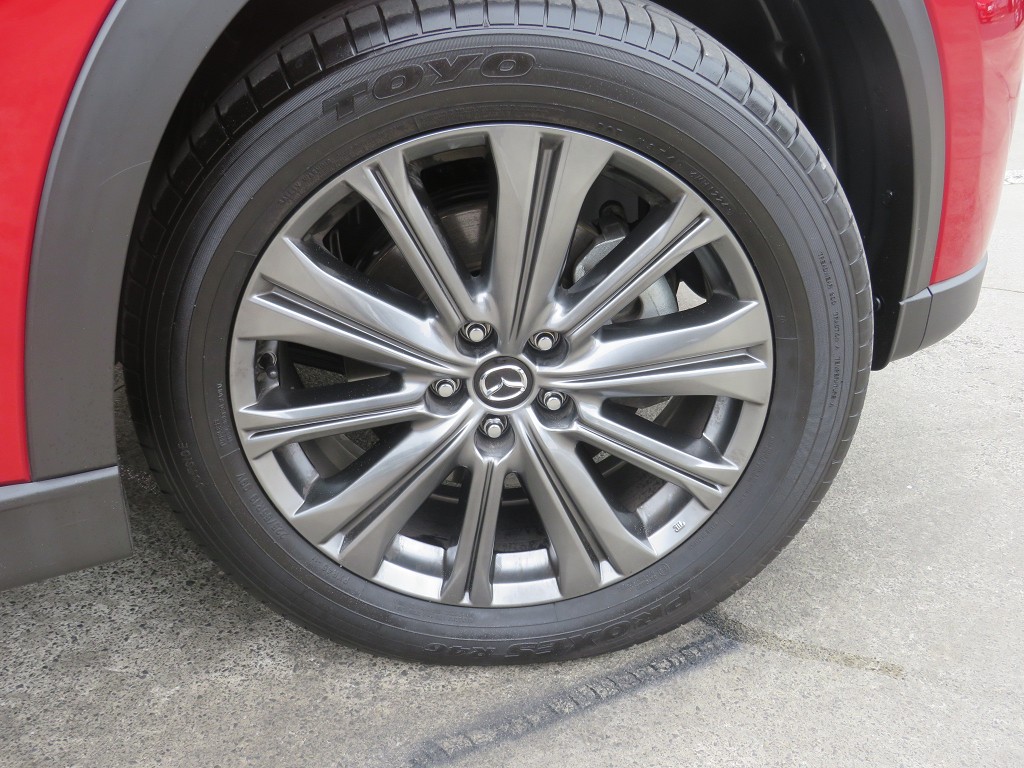 S8045010.jpg