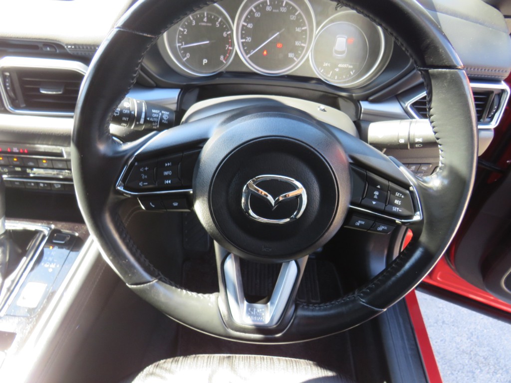 S8045016.jpg