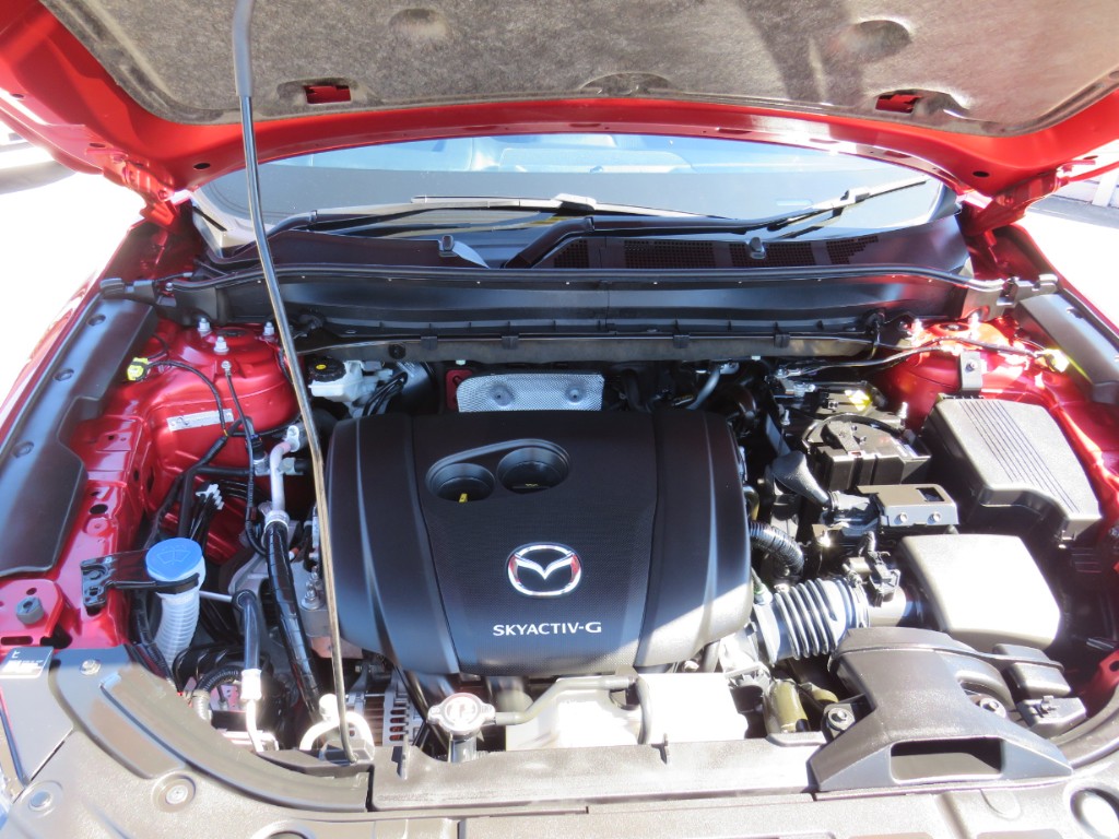 S8045019.jpg