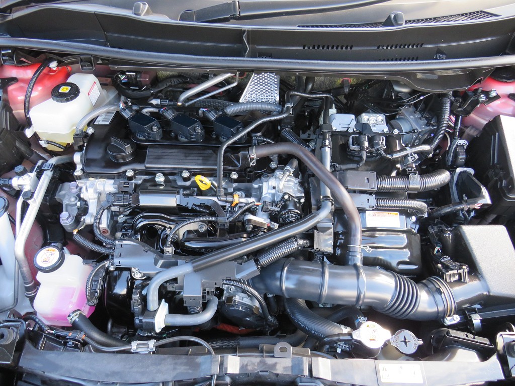 S8046219.jpg