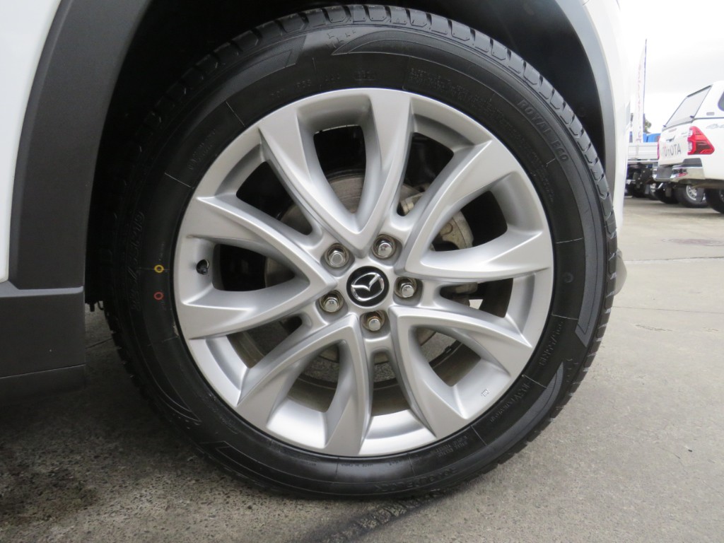 S8046510.jpg