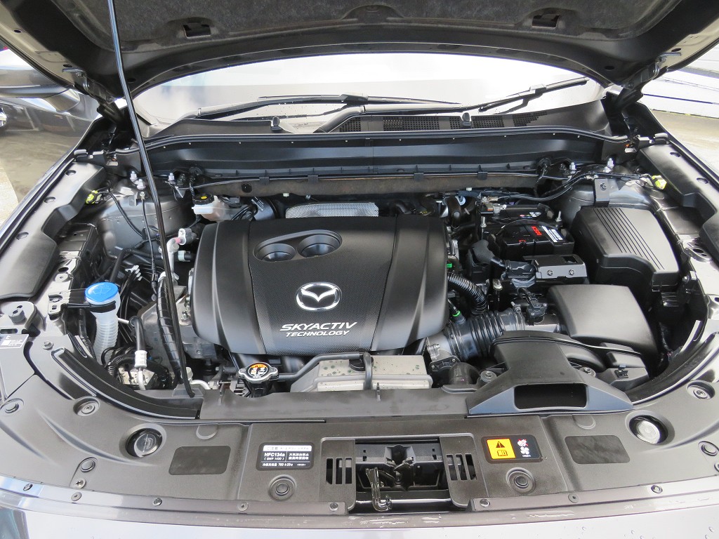 S8046621.jpg