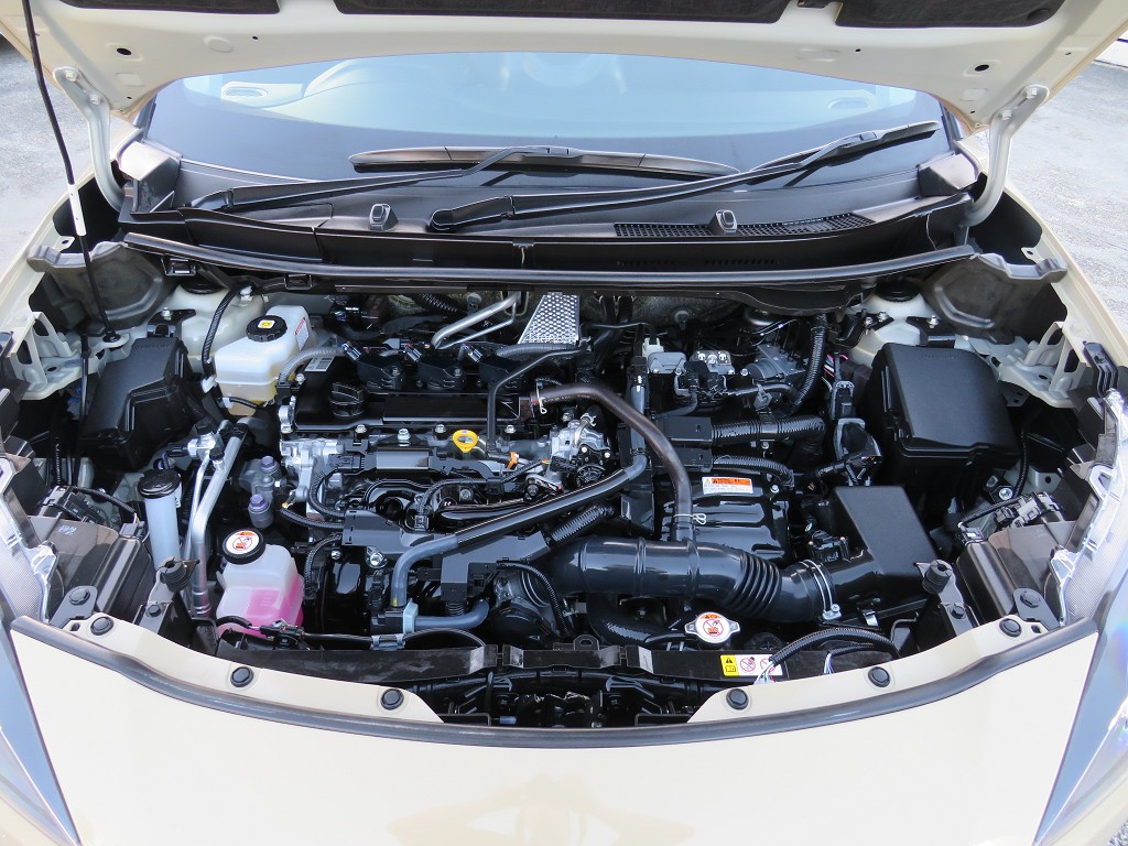 S8048421.jpg