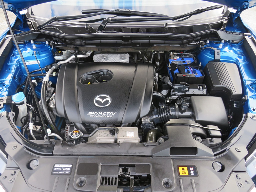 S8048818.jpg