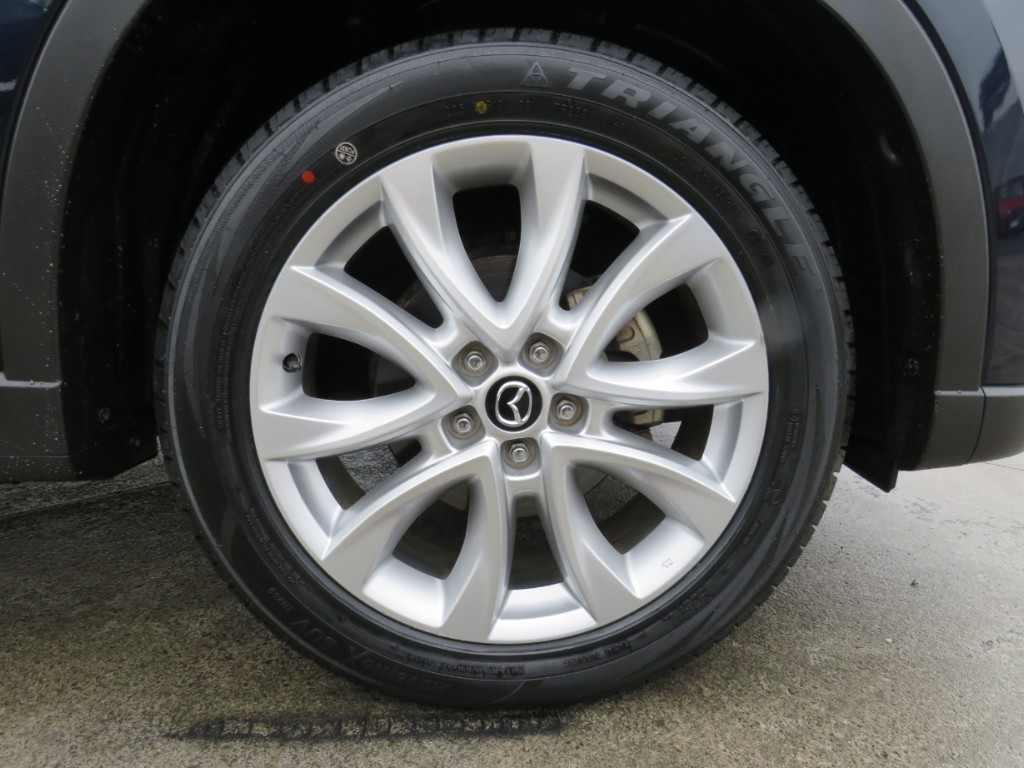 S8048910.jpg