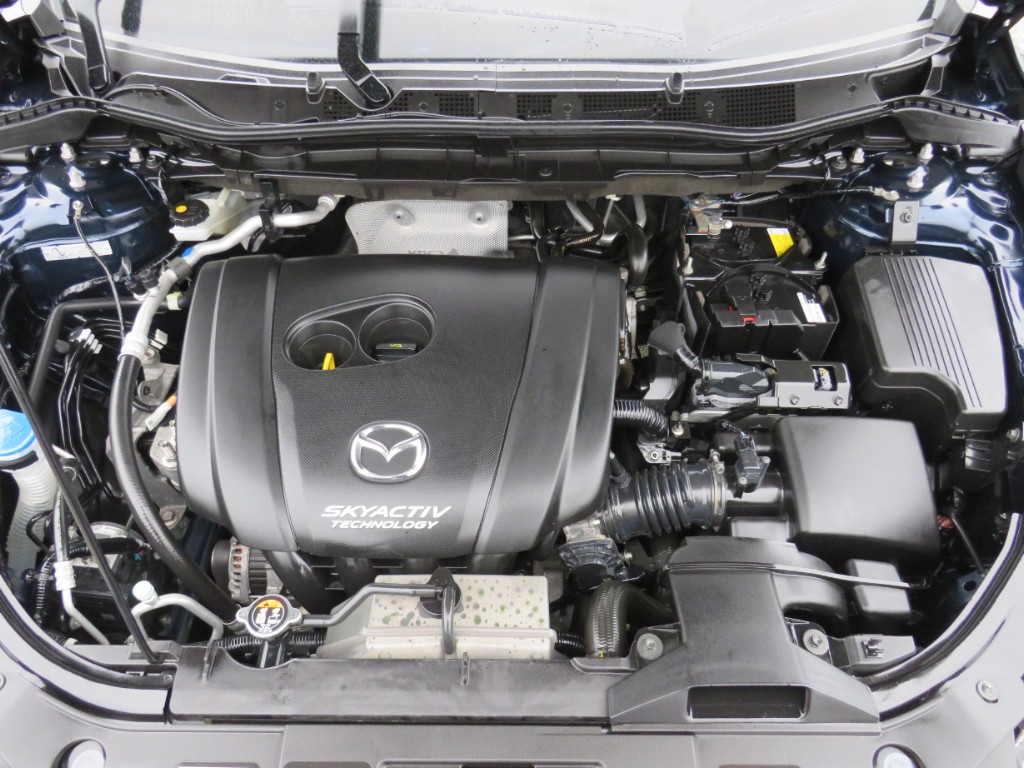 S8048920.jpg