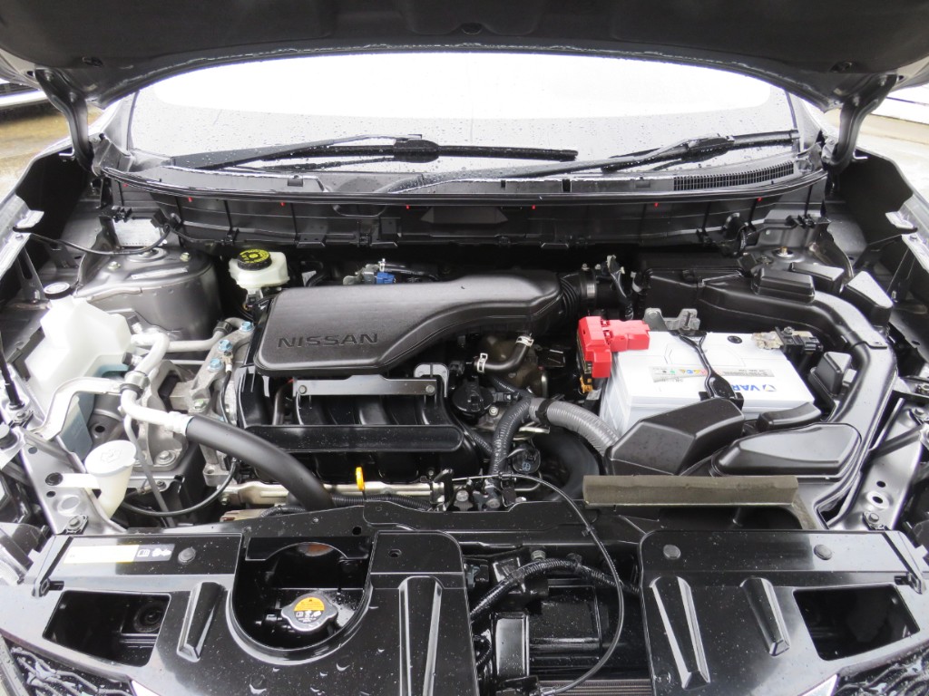 S8049420.jpg