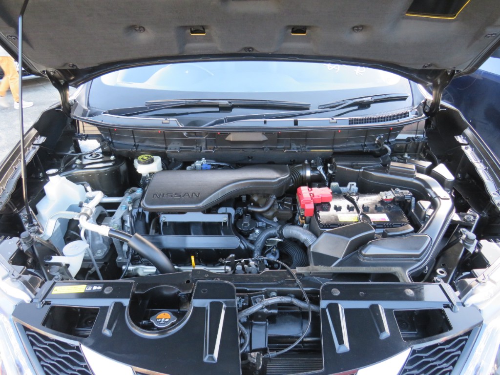 S8049517.jpg