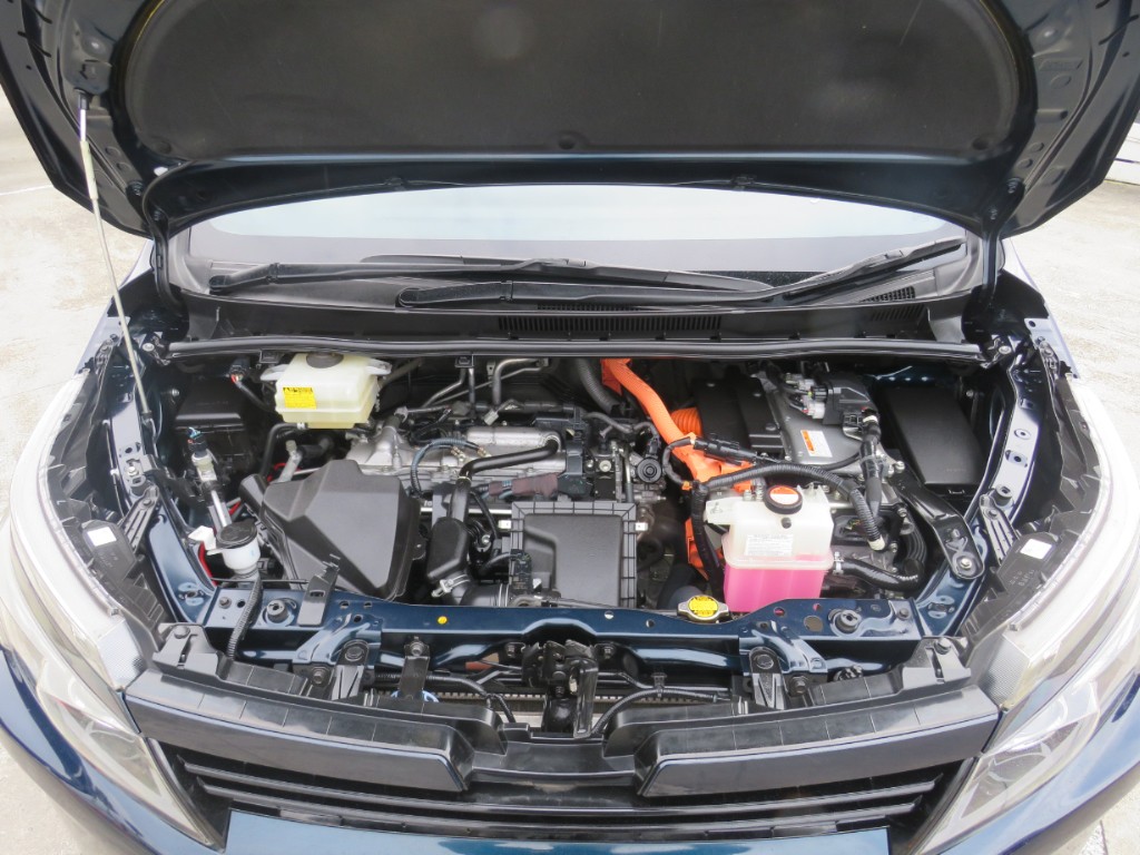S8051121.jpg