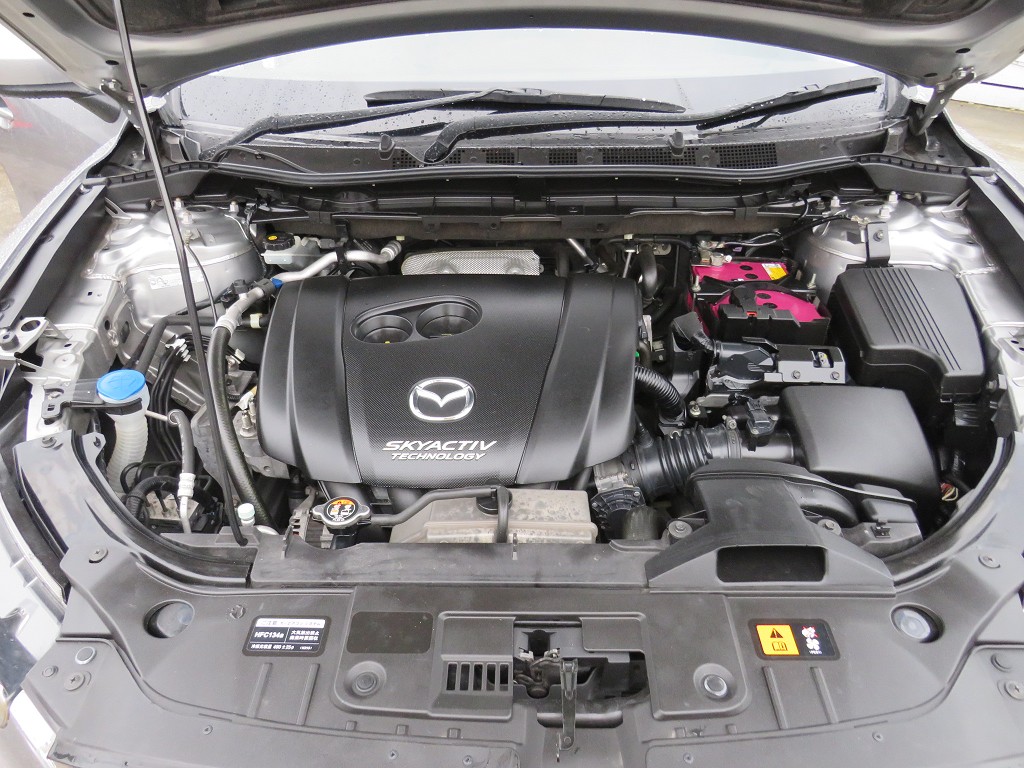 S8052220.jpg