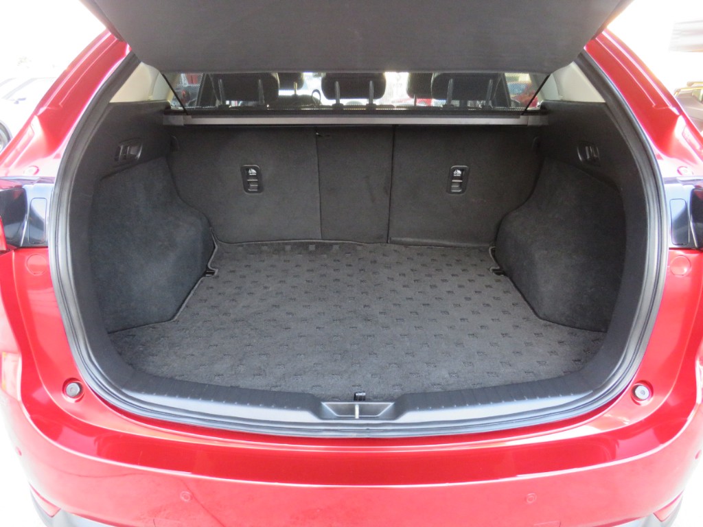 S8052410.jpg