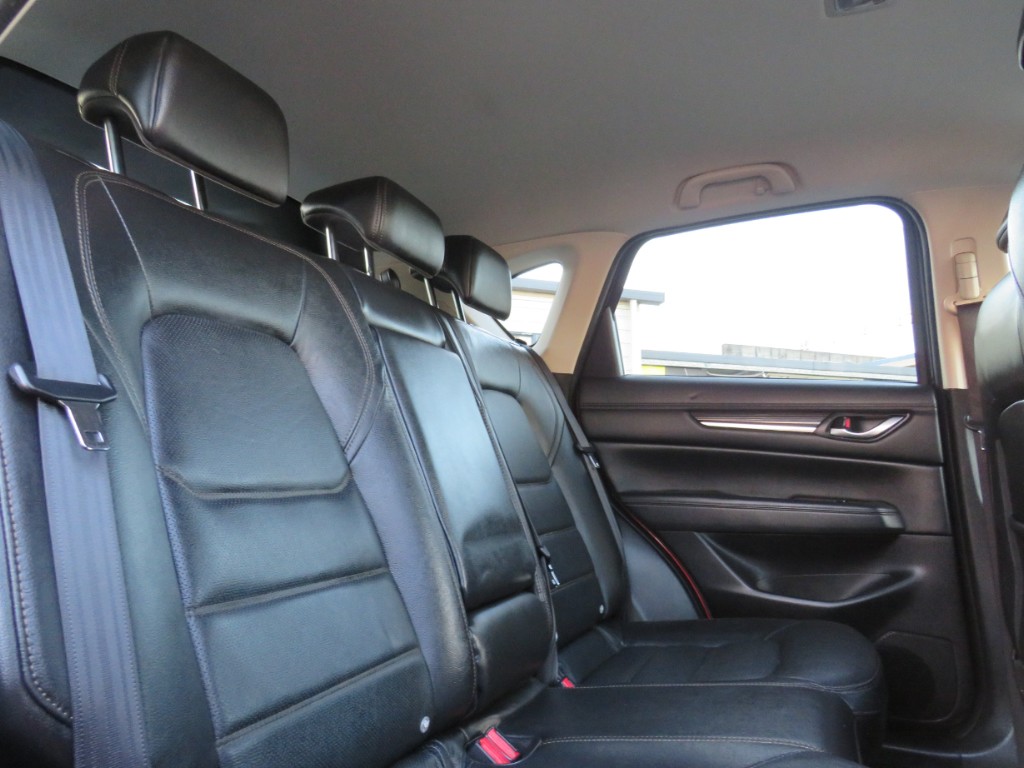 S8052412.jpg