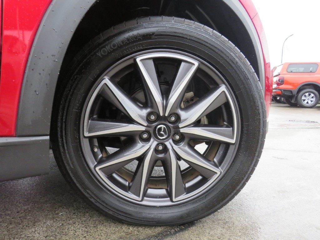S8052510.jpg