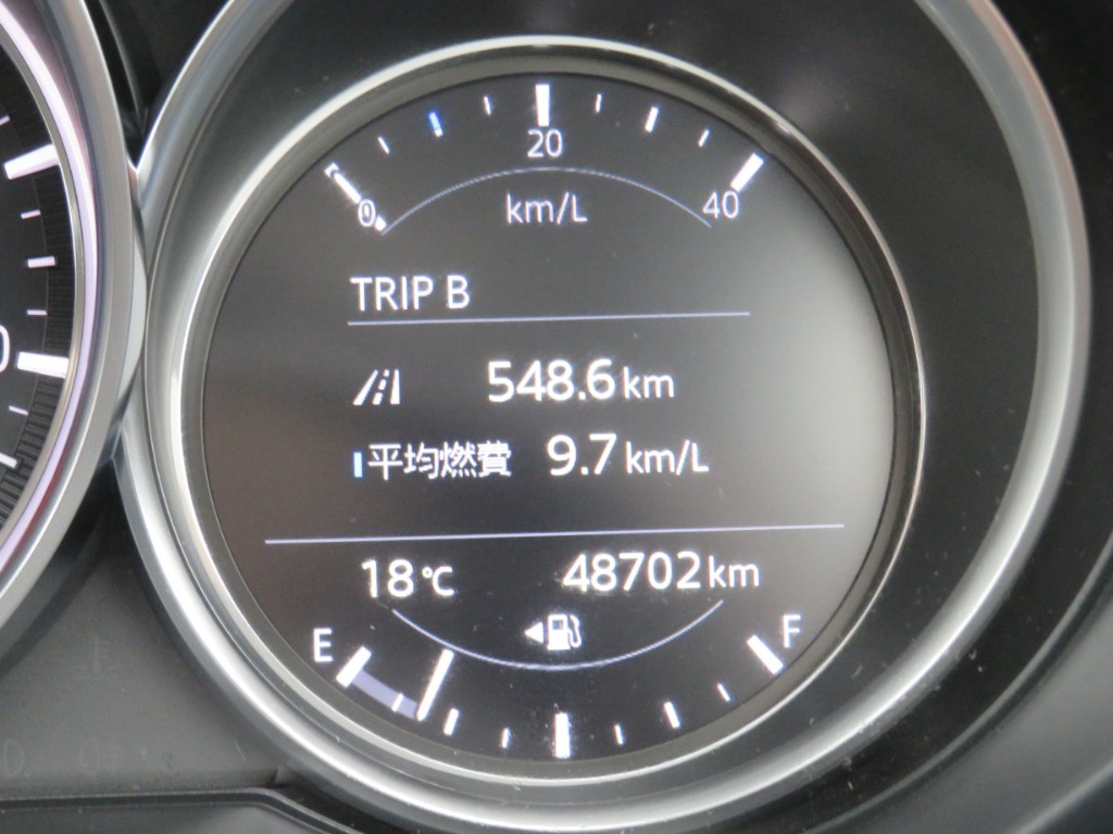 S8052519.jpg