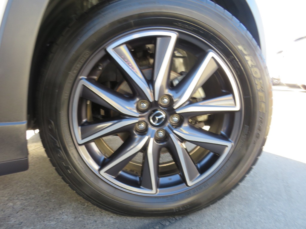 S8052611.jpg