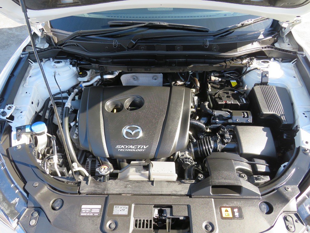 S8052621.jpg