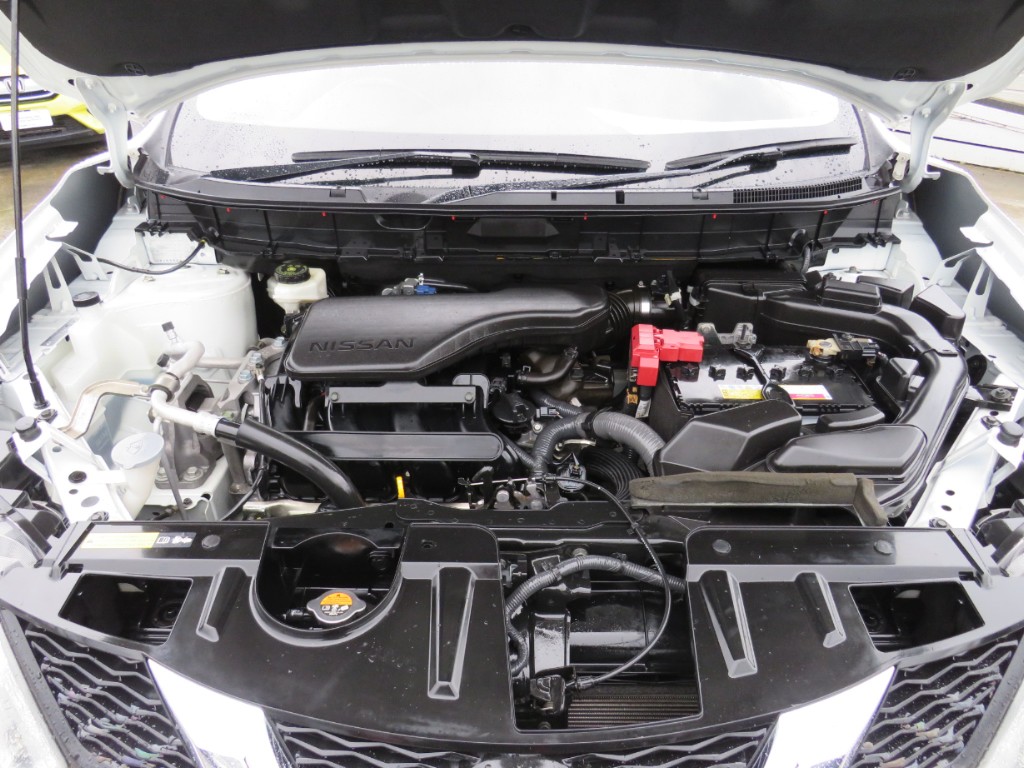 S8054320.jpg