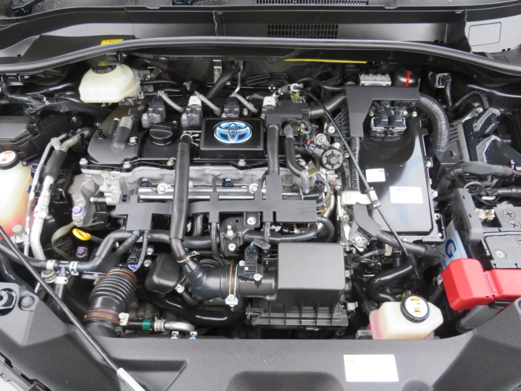 S8055020.jpg