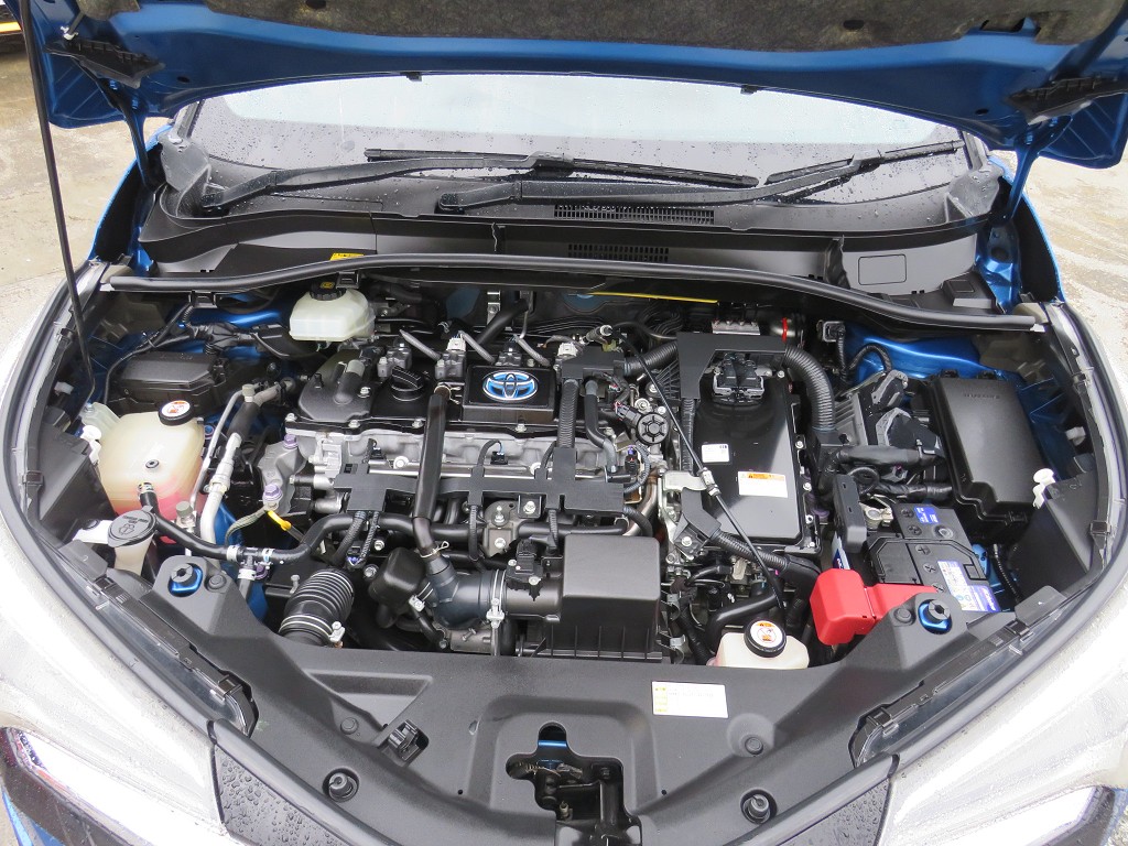 S8055119.jpg