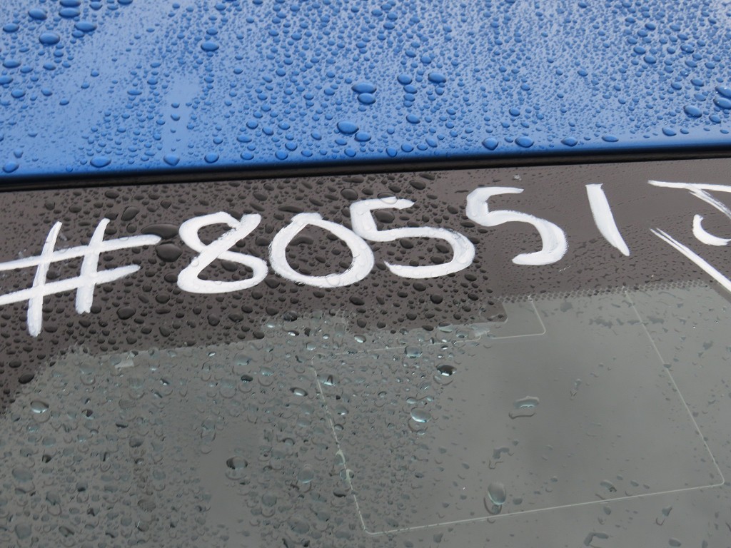 S8055120.jpg