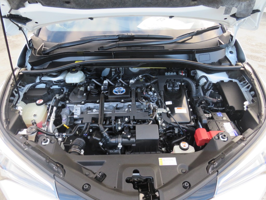 S8055221.jpg