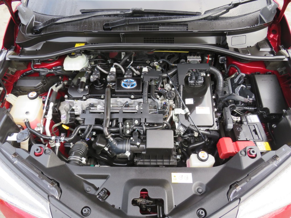 S8055320.jpg