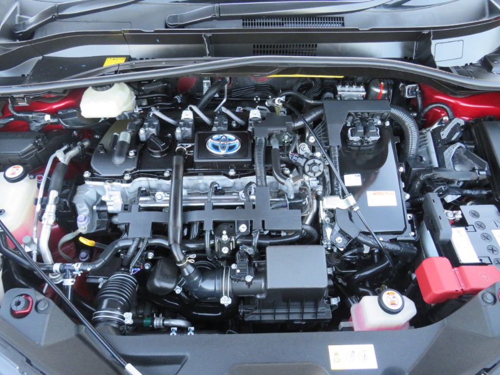 S8055420.jpg