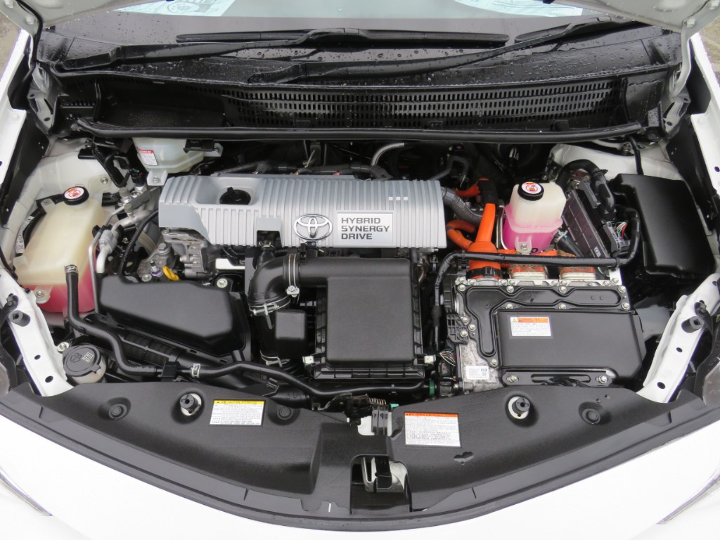 S8056021.jpg