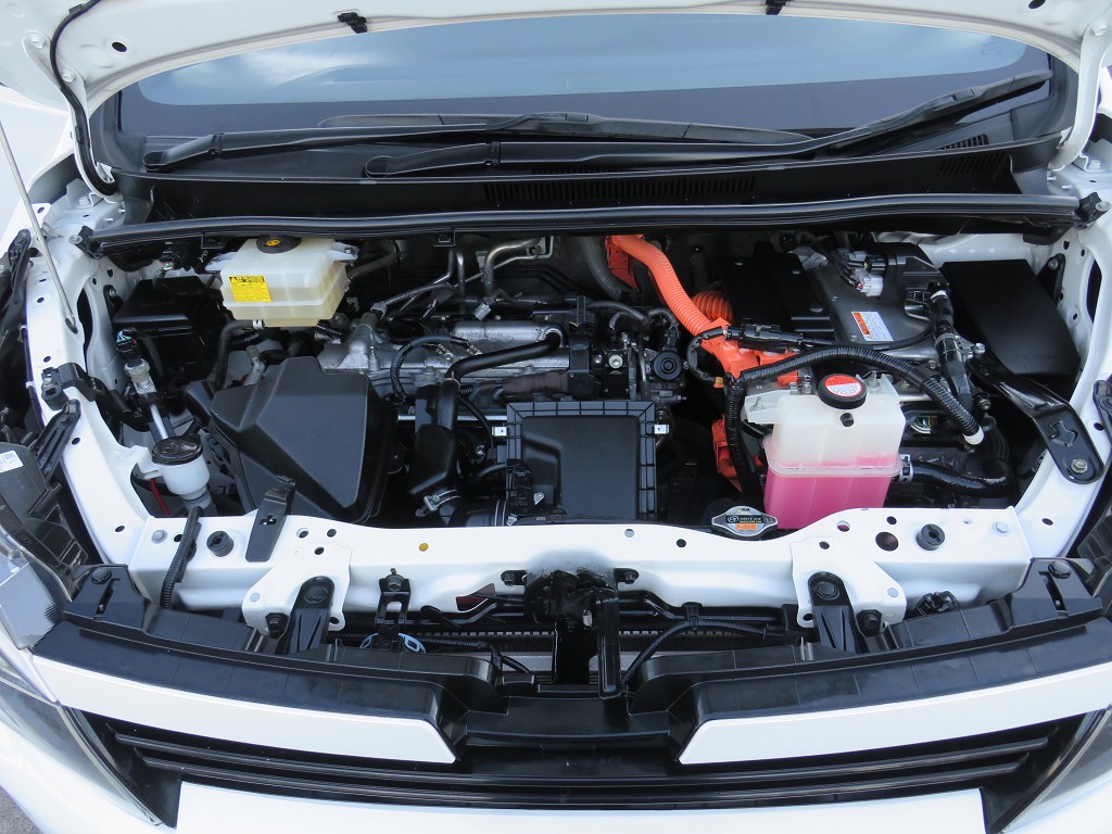 S8056420.jpg
