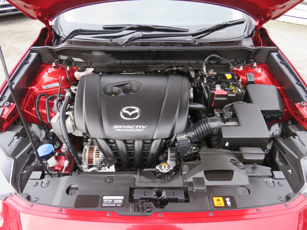 S8056920.jpg