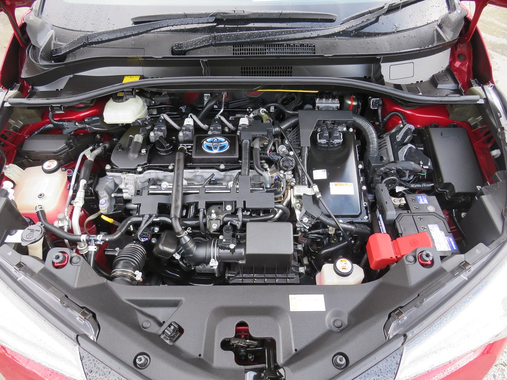 S8058221.jpg