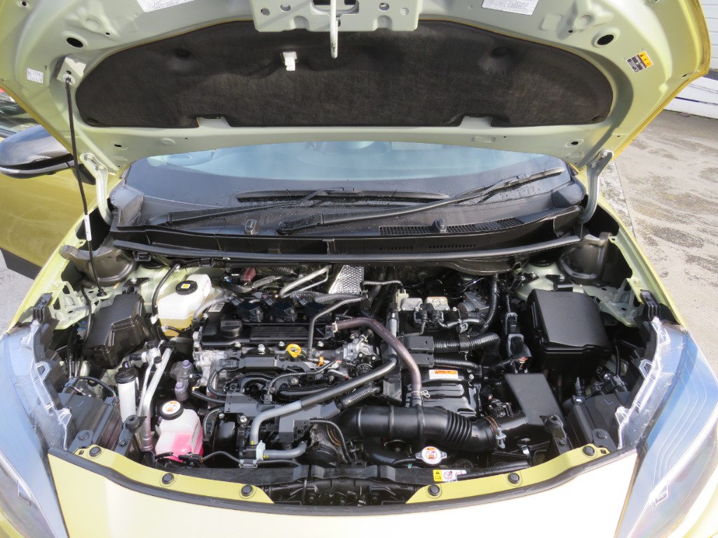 S8058721.jpg