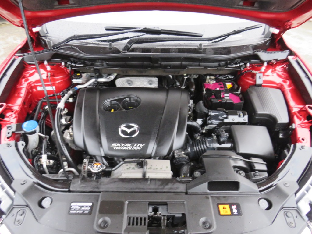 S8059120.jpg