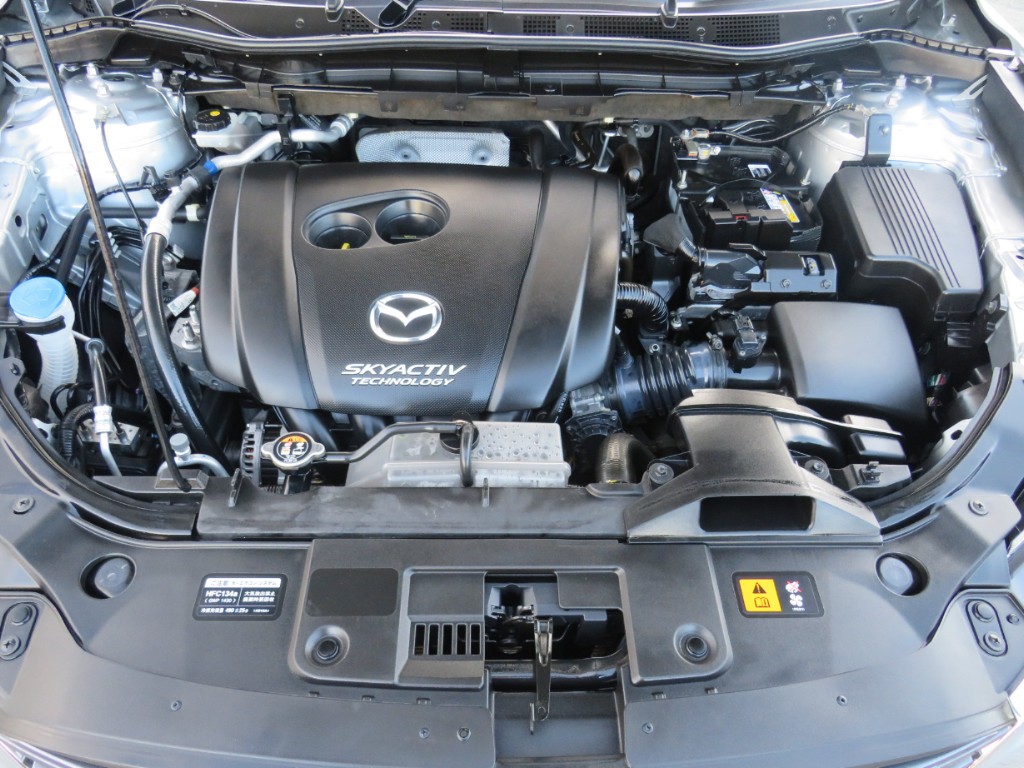 S8059220.jpg