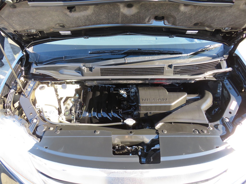S8059820.jpg