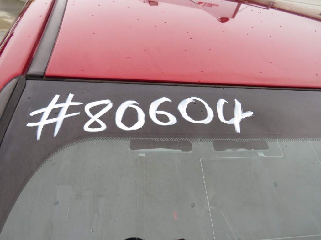 S8060421.jpg