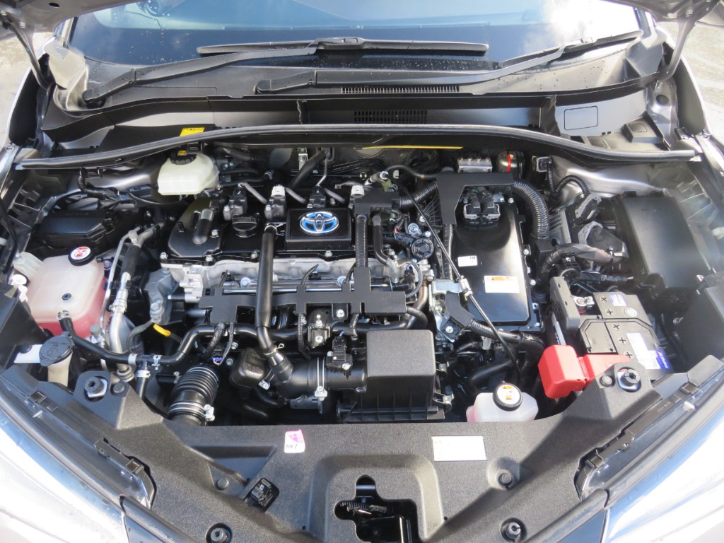 S8060520.jpg