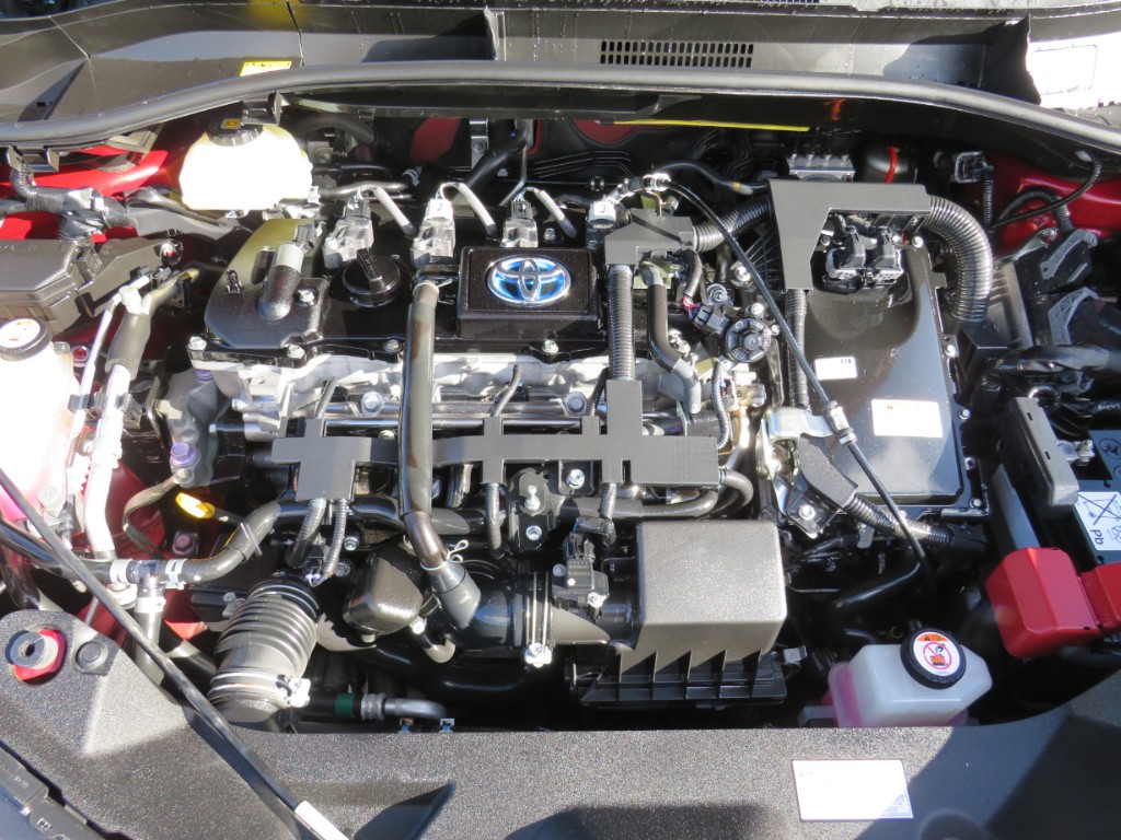 S8060620.jpg