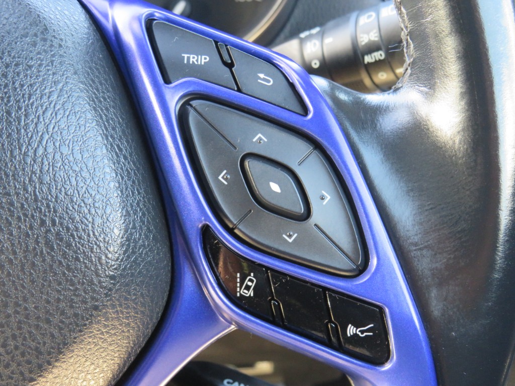 S8060719.jpg