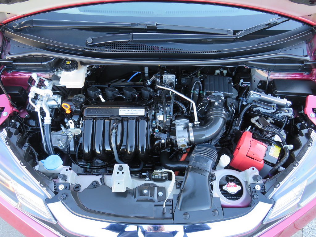 S8061420.jpg