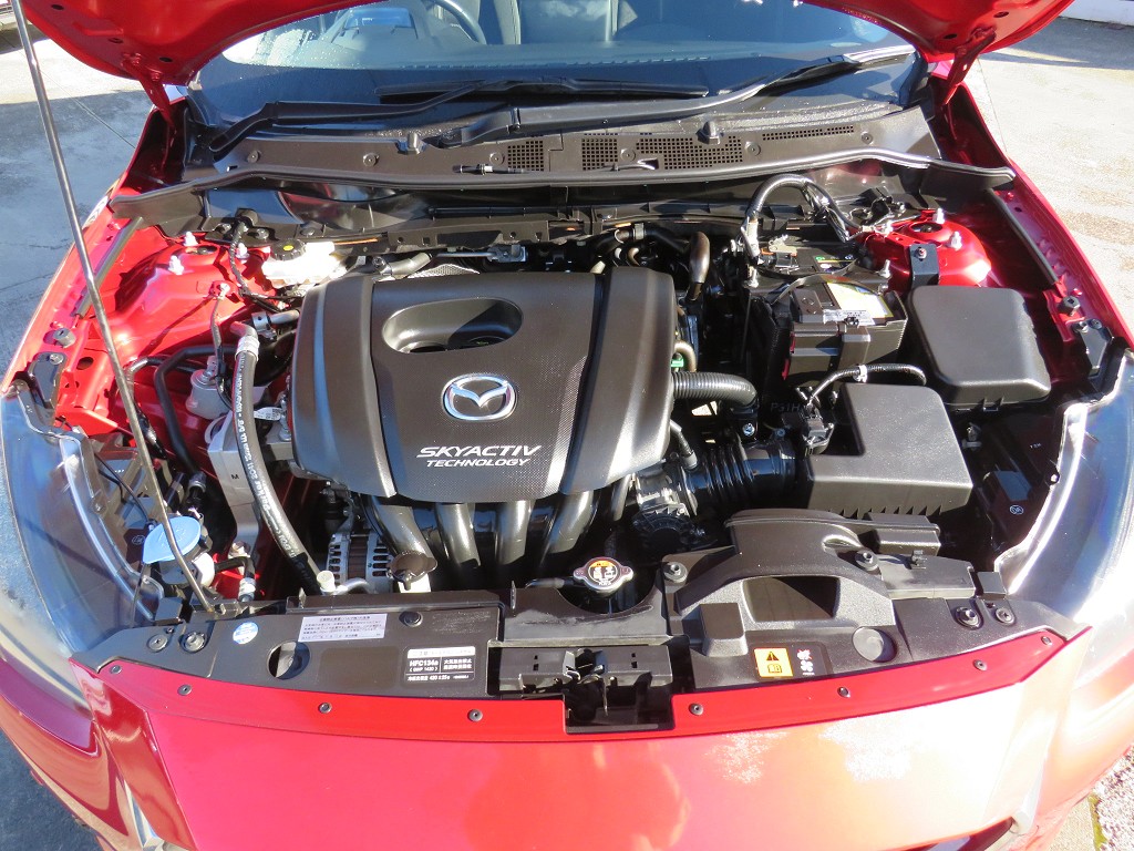S8062520.jpg