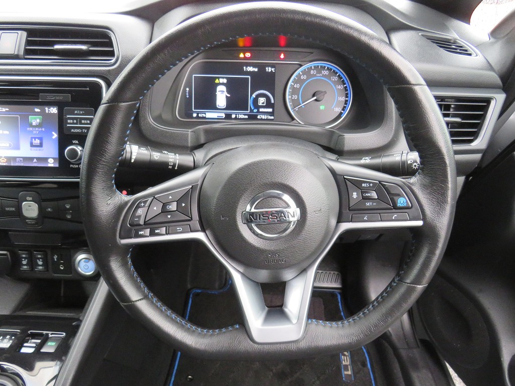 S8062713.jpg