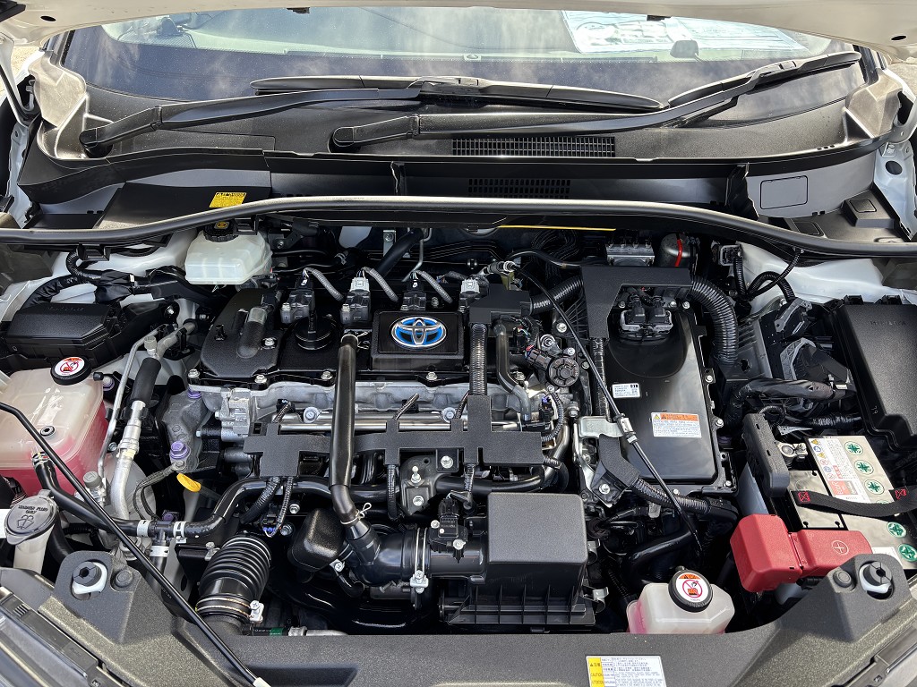 S8064421.jpg