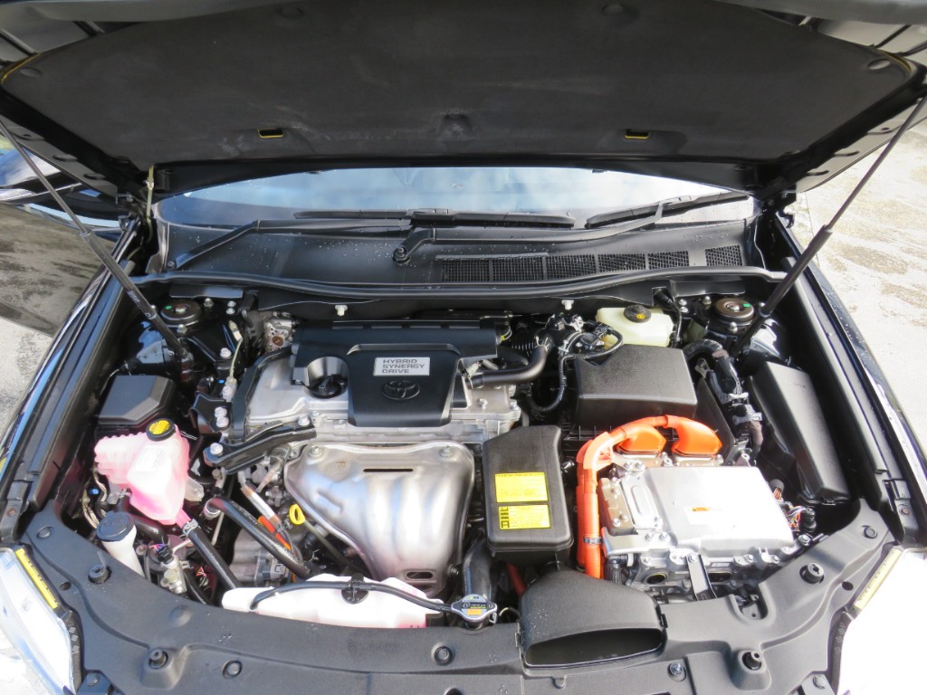 S8064920.jpg